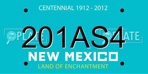 201AS4 New Mexico License Plate