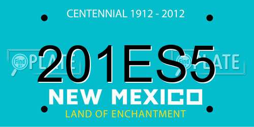 201ES5 New Mexico License Plate