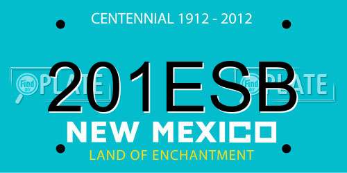 201ESB New Mexico License Plate