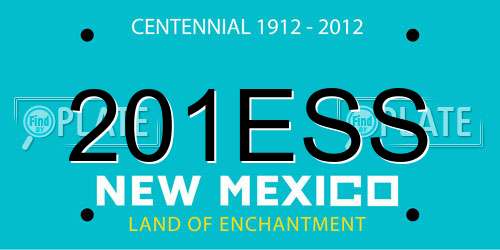 201ESS New Mexico License Plate