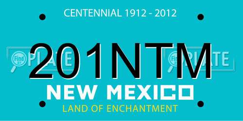 201NTM New Mexico License Plate
