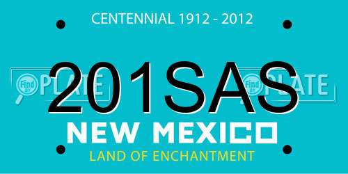 201SAS New Mexico License Plate