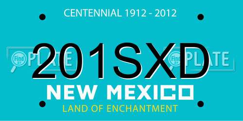 201SXD New Mexico License Plate