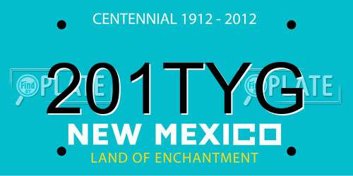 201TYG New Mexico License Plate
