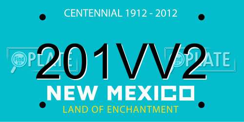 201VV2 New Mexico License Plate