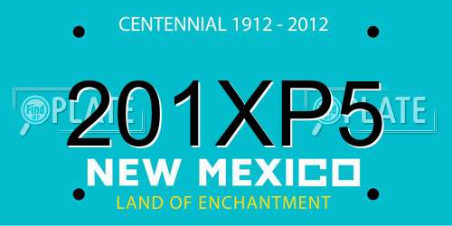 201XP5 New Mexico License Plate