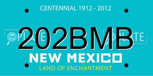 202BMB New Mexico License Plate