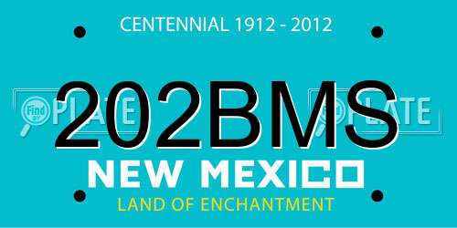 202BMS New Mexico License Plate