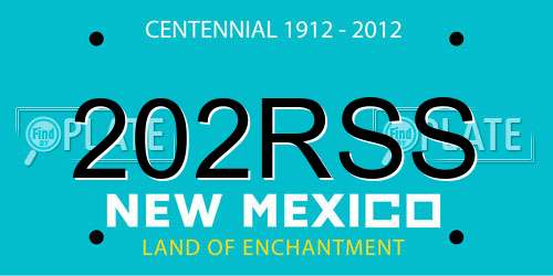 202RSS New Mexico License Plate