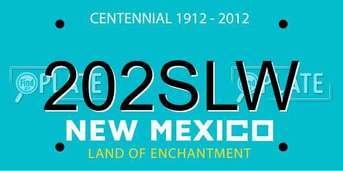 202SLW New Mexico License Plate