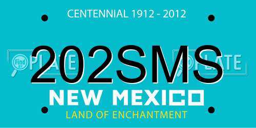 202SMS New Mexico License Plate