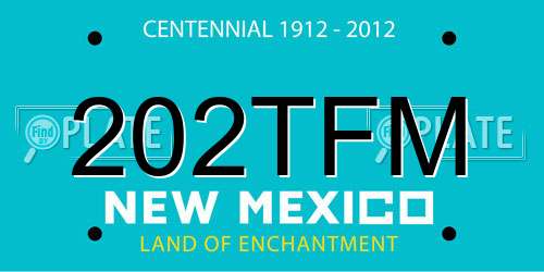 202TFM New Mexico License Plate
