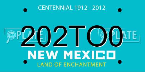 202TO0 New Mexico License Plate