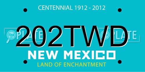 202TWD New Mexico License Plate