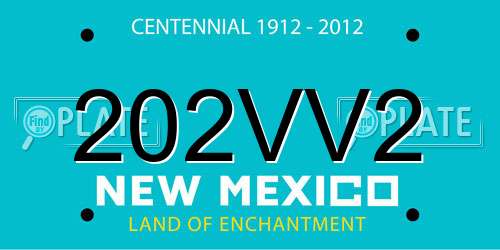 202VV2 New Mexico License Plate
