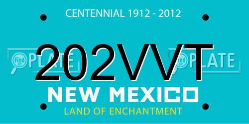 202VVT New Mexico License Plate