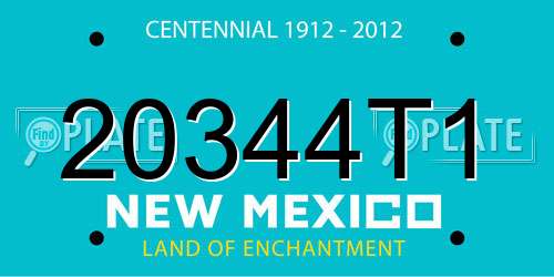 20344T1 New Mexico License Plate