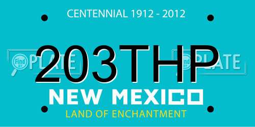 203THP New Mexico License Plate