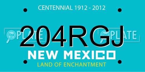 204RGJ New Mexico License Plate