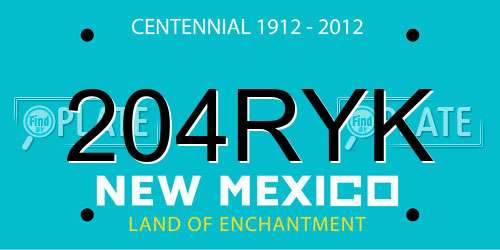 204RYK New Mexico License Plate