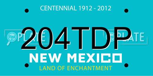 204TDP New Mexico License Plate