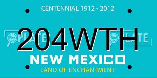 204WTH New Mexico License Plate