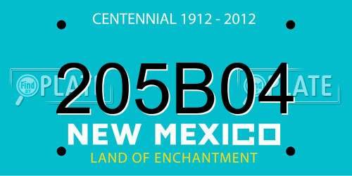 205B04 New Mexico License Plate