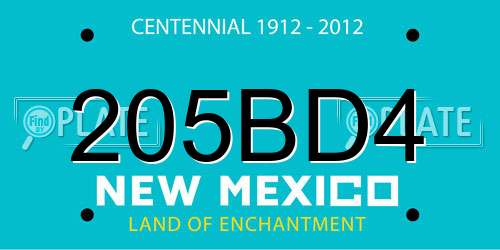 205BD4 New Mexico License Plate