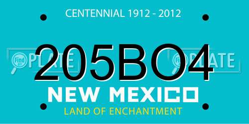 205BO4 New Mexico License Plate