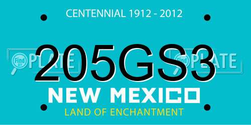 205GS3 New Mexico License Plate