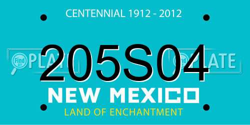 205S04 New Mexico License Plate