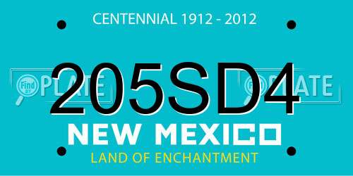 205SD4 New Mexico License Plate