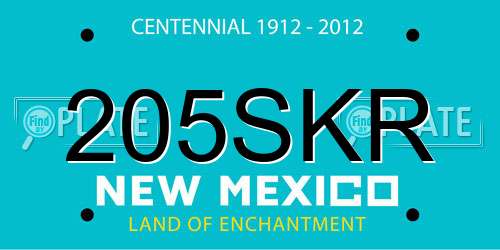205SKR New Mexico License Plate