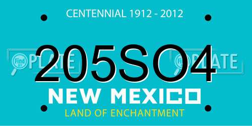 205SO4 New Mexico License Plate