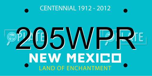 205WPR New Mexico License Plate