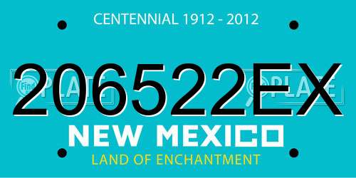 206522EX New Mexico License Plate