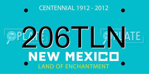 206TLN New Mexico License Plate
