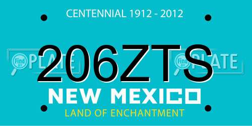 206ZTS New Mexico License Plate