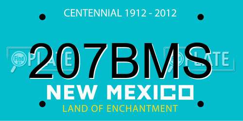 207BMS New Mexico License Plate