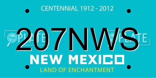 207NWS New Mexico License Plate
