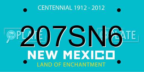 207SN6 New Mexico License Plate