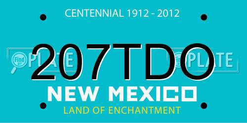 207TDO New Mexico License Plate