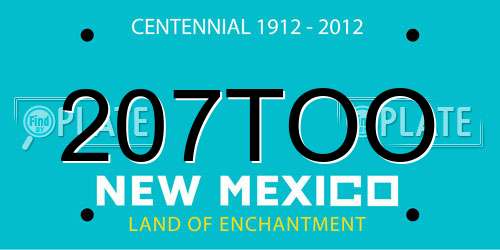 207TOO New Mexico License Plate