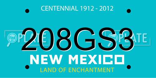 208GS3 New Mexico License Plate