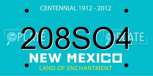 208SO4 New Mexico License Plate