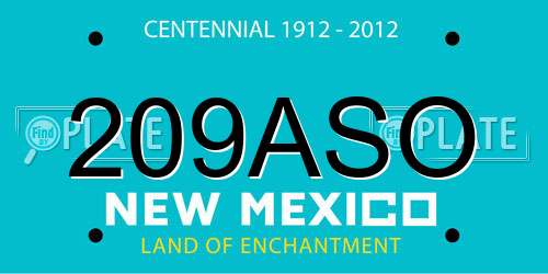 209ASO New Mexico License Plate
