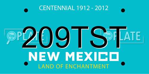 209TST New Mexico License Plate