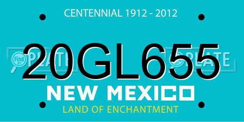 20GL655 New Mexico License Plate