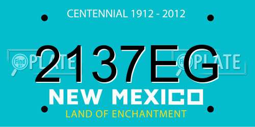 2137EG New Mexico License Plate