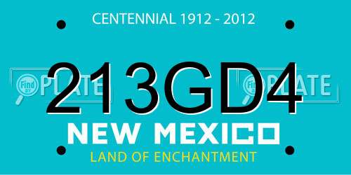 213GD4 New Mexico License Plate